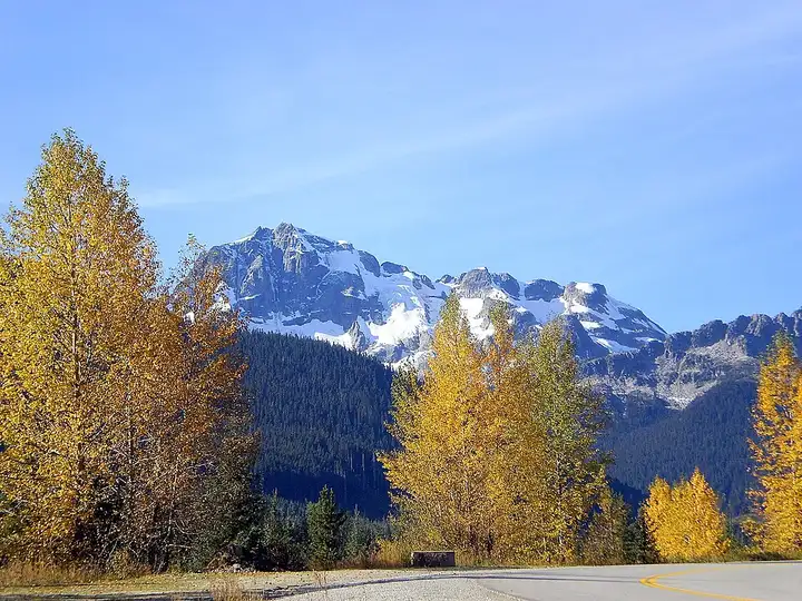 Duffey Lake Road