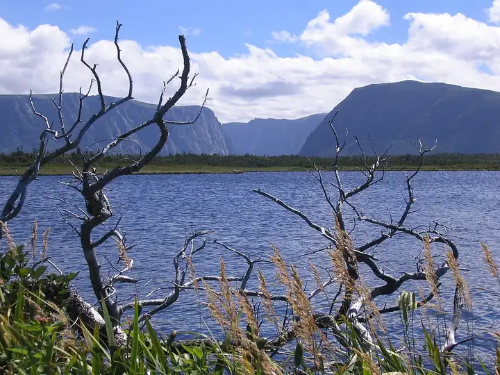 Sentier de l'étang Western Brook