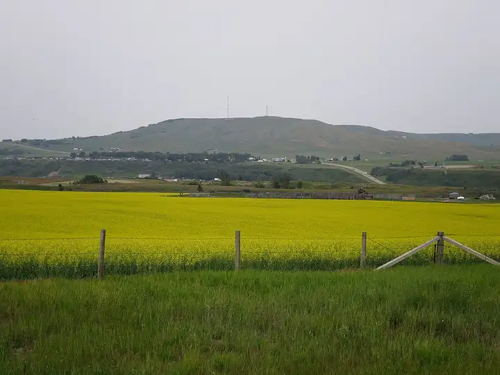 Longview