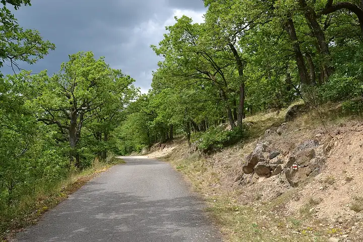 Parc national de Podyjí