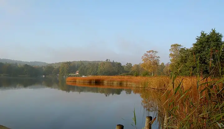 Svejbæk
