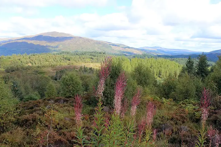 Trossachs