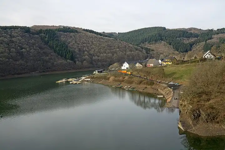 Insenborn