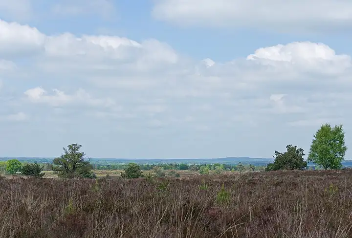 Parc national de la Sallandse Heuvelrug et Holterberg