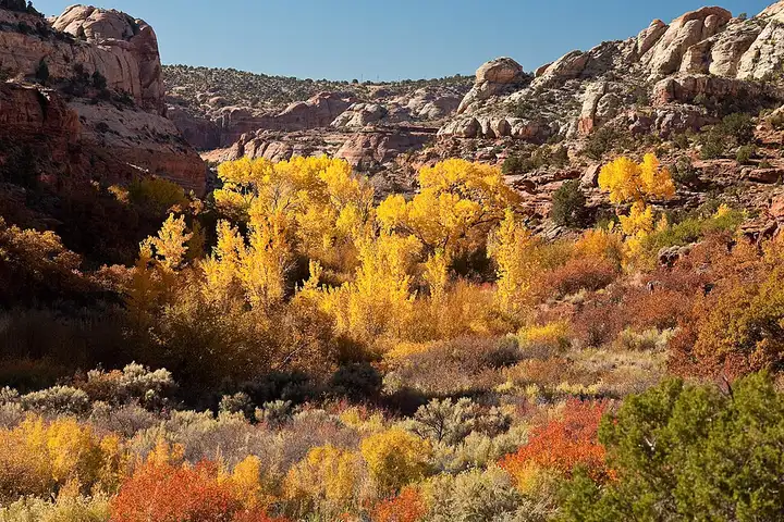 Calf Creek